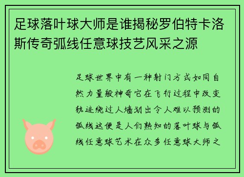 足球落叶球大师是谁揭秘罗伯特卡洛斯传奇弧线任意球技艺风采之源 足球落叶球大师是谁揭秘罗伯特卡洛斯传奇弧线任意球技艺风采之源